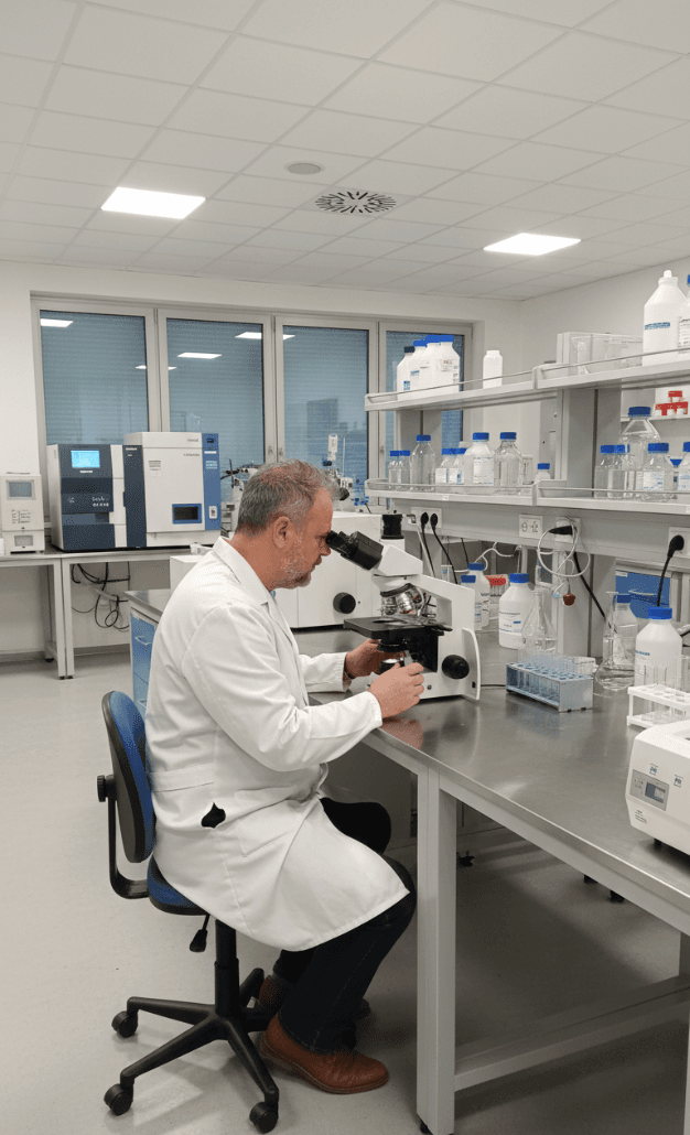 Ensayos de Laboratorio